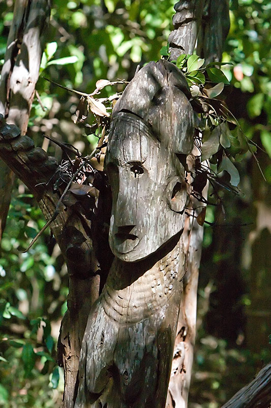 58   Wooden totem (waga) near the grave of a Konso king